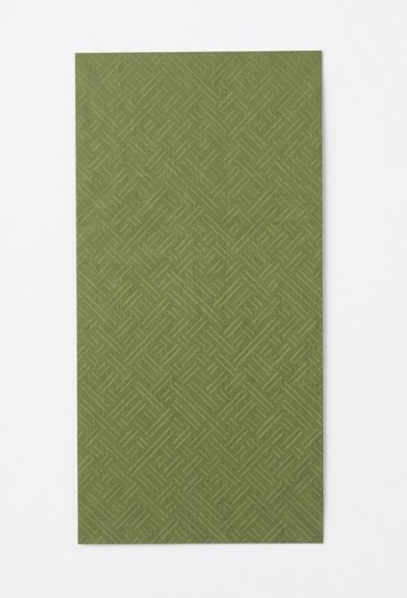 EC - Patch for EC GO Range 2026 (Pesto Green)